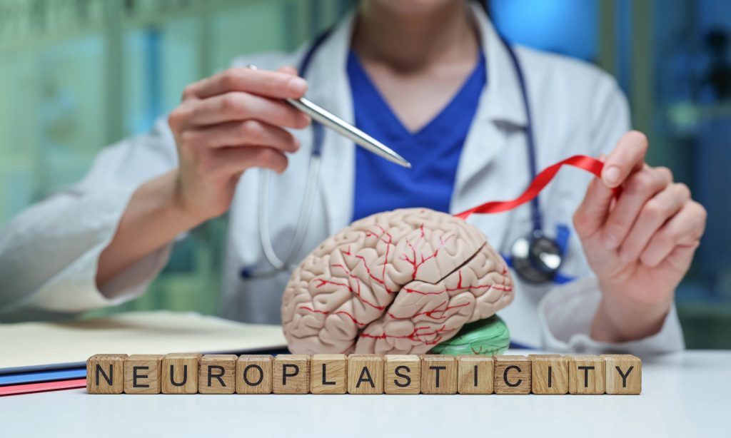 doctor showing how neuroplasticity works in the brain