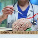 doctor showing how neuroplasticity works in the brain